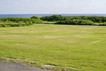 Fototapeta na wymiar Lawn in Cape Higashi-hennazaki Park