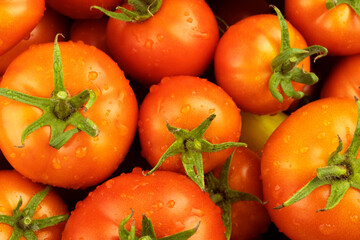 Ripe tomatoes with drops of water and green leaves, close-up.