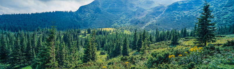View on a sunny day to the beautiful panorama of the Carpathian Mountains, Ukraine.