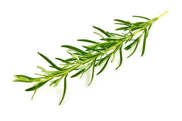 Fototapeta premium Rosemary twig, isolated on white background.