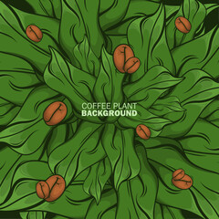Coffee plant background vector design