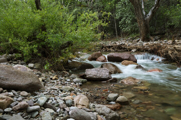 Flowing creek water in Cave Creek Canyon is a scenic, tranquil oasis landscape in Arizona