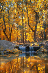river in the autumn forest.