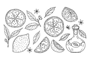 Silhouettes of lemons in doodle style. Monochromatic lemons with leaves and juice. Lemons set.