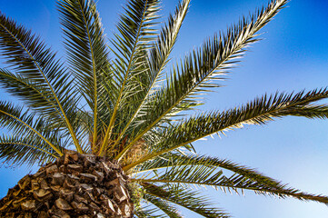 Mediterrane Aussicht