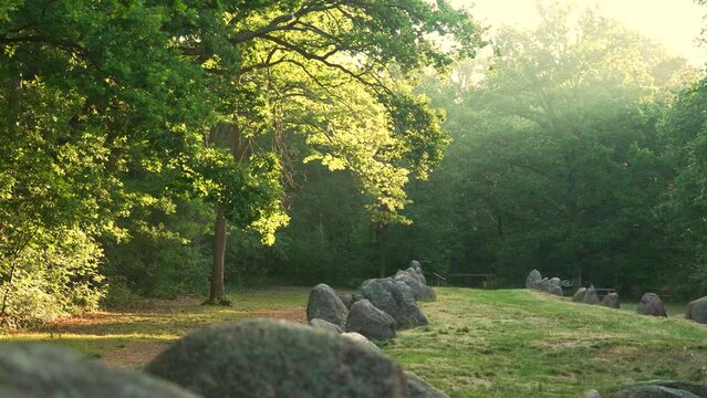 Megalithic tomb (Visbeker Braut) in a forest with sun rays in northern germany