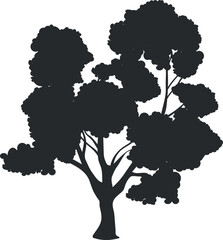 Old maple silhouette. Big black tree. Botanical element