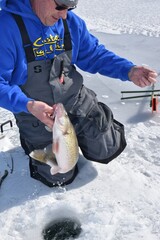 An ice angler with a walleye caught with a tip-up 