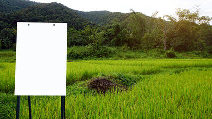 white promotional poster Show at the restaurant page, coffee shop promotion information, Land for sale. For marketing announcements and details on the background of fields.            