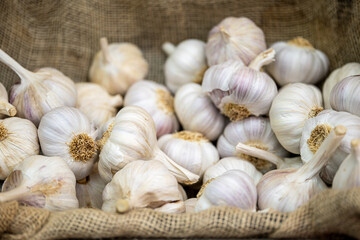 garlic in the market