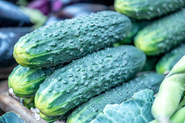 Fresh cucumbers in a market