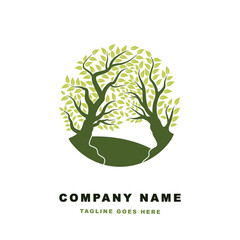 Obraz premium Vibrant tree logo design, tree vector. Tree of life logo design inspiration