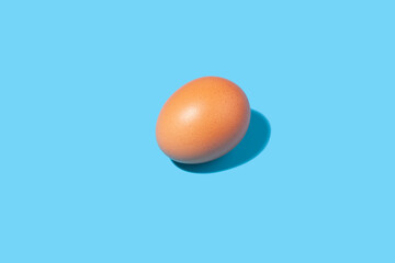 Brown chicken egg on a blue background.