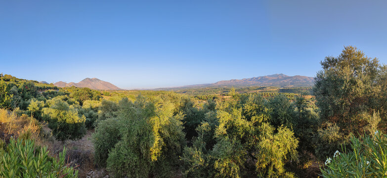 Mountain panorama with olive grove on Crete island, Greece