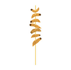 Wooden stick with fried caterpillars flat vector illustration isolated on white. Edible insects as alternative food. 