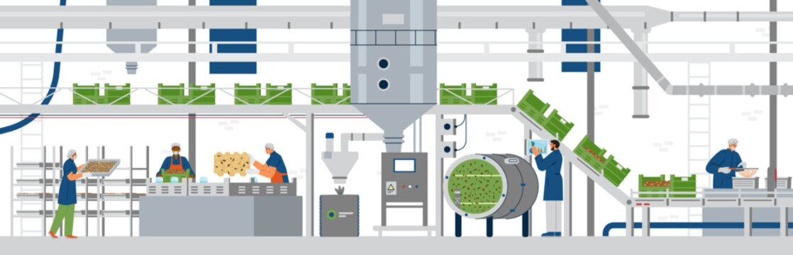 Automated bug farm interior with workers flat vector illustration. Insect farming equipment, conveyor, boxes, pipes.