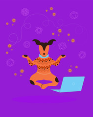 Fototapeta premium Cute dog practicing yoga and meditation using computer on background with flying yoga chakras