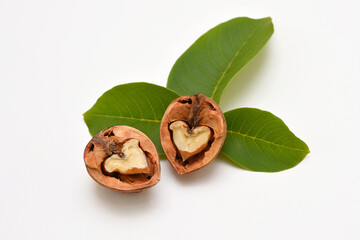 two halves of split walnut isolated on white background