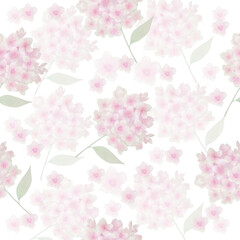 hydrangea, hydrangea illustration, hydrangea vector, floral pattern, hydrangea pattern