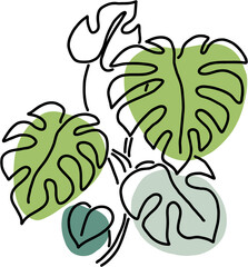 Simplicity monstera plant freehand drawing flat design.