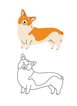 Cute corgi dog vector cartoon illustration. Hand-drawn dog in contemporary flat style, and line art. Cartoon animal, pet.