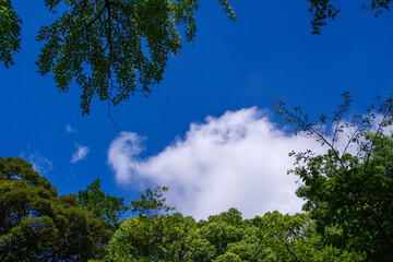 青空と雲と緑と