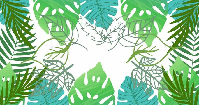 Animation of leaf icons over leaves