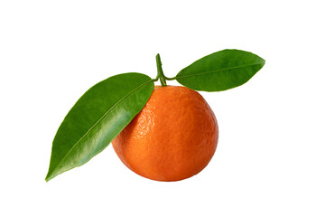 Mandarin orange or mandarine ripe fruit with green leaves isolated transparent png. Citrus reticulata.