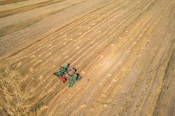 wheatland in Xinjiang China
