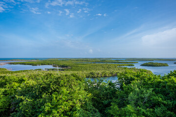 Fototapeta na wymiar Tropical seascape with aquatic vegetation in the National Park of Morrocoy (Falcon, Venezuela).