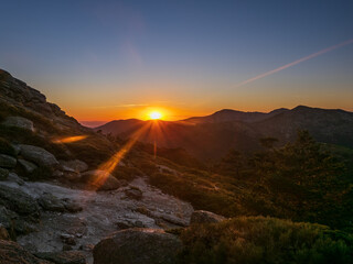 Naklejka premium Rayos de sol al atardecer