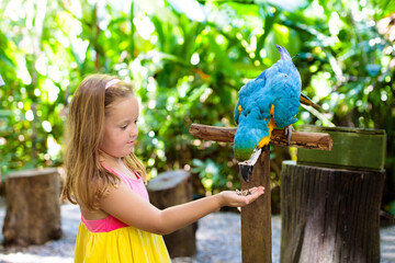 Fototapeta premium Kids feeding macaw parrot. Child playing with bird