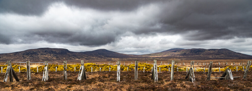 Dramatic clouds over Scottish highland hills with yellow gorse and fence posts in front