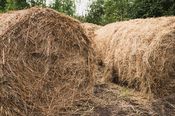 The small stack oh hay in the village