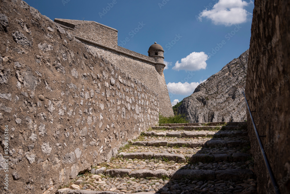 Canvas Prints the town of Sisteron, France