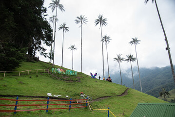 Valle del Cocora