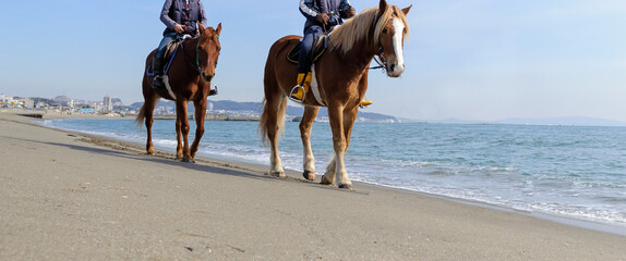 海岸での乗馬　