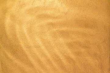 Sand background with copy space for text. Sand texture closeup with palm leaf shadow. Horizontal background pattern of sand beach