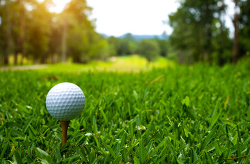 Golf ball is on tee at green lawn in a beautiful golf course with morning sunshine.