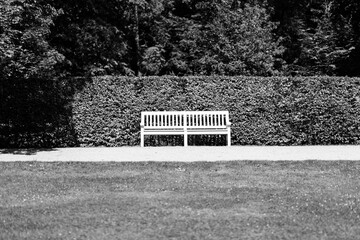 white and black colour picture of wooden bench in the English (British) style park. Death concept,...