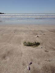 footprints on the beach