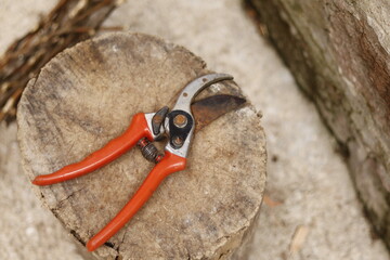 Pruning shears