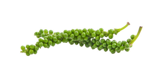 Fresh green peppercorns isolated on transparent png