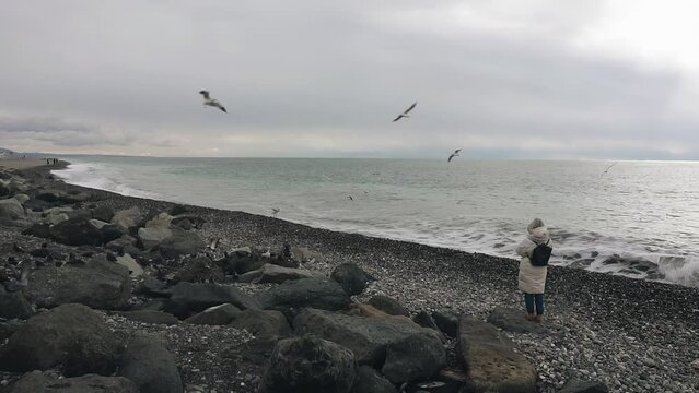 A flock of seagulls circles over a girl standing in a jacket on the seashore. Shooting at sea in bad weather