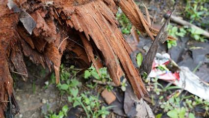details of wood pieces