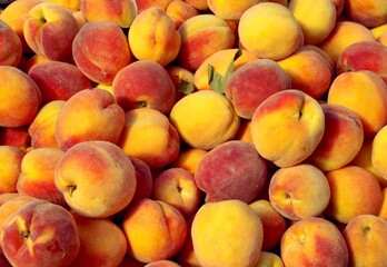 Fototapeta na wymiar orange sweet and juicy peaches