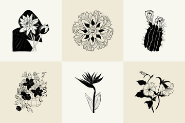 Flowers, Botanica illustration collection. Black ink, line, doodle style. 