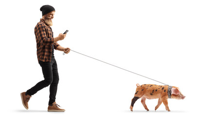 Full length profile shot of a bearded guy using a smartphone and walking a pig on a lead © Ljupco Smokovski