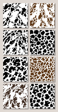 Animal background. Cow Hide, Holstein cattle texture. Mammals Fur. Print skin. Predator Camouflage. Printable Vector illustration.