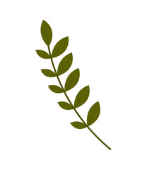 leaves nature icon